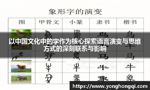 米乐yy易游体育