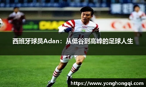 米乐yy易游体育