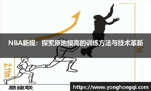 米乐yy易游体育