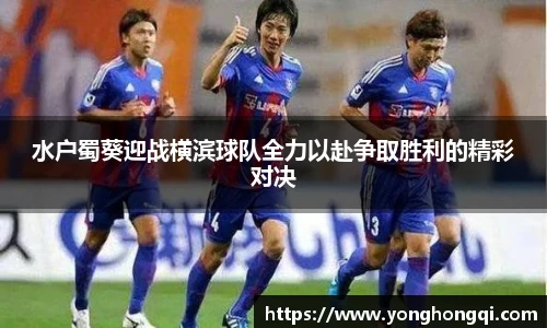 yy易游体育